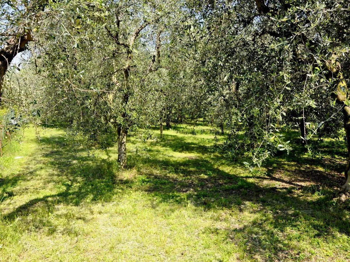 Holiday Home With Private Garden, About 1 Km From The Lake Lazise Italy
